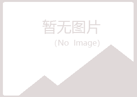 泰山区冰夏采矿有限公司